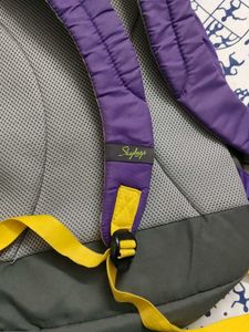Skybags Backpack
