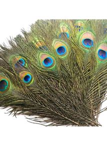 Natural Peacock Feather(15 Feathers)