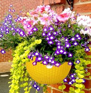 Hanging Planters for outdoor/indoor gardening