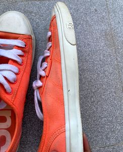 SUPERDRY Shoes