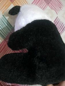 A Teddy Bear