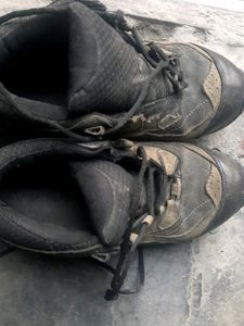 99rs Woodland Tractor Sole Shoes