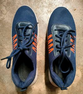 Shoe Size 6