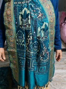 Elegant Teal Saree with Gold Accents