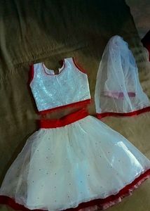 Girls Skirt Choli Dupatta Kids 2_4 Years