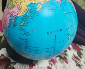 Vintage Globe - Educational Decor