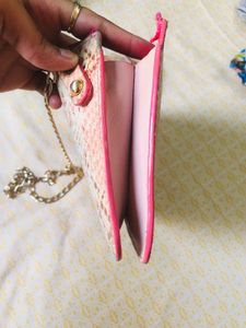 Snakeskin Clutch