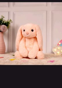Adorable Plush Bunny-Mirada