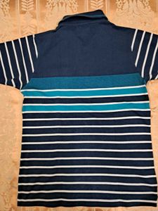 Striped Short Sleeve Polo Shirt