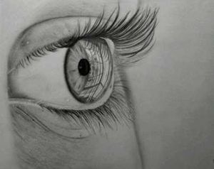 NIFT B.Des ENTRANCE Test material With STAEDTLER✏