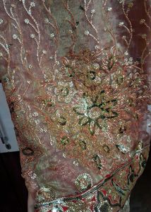 Beautiful Organza Saree