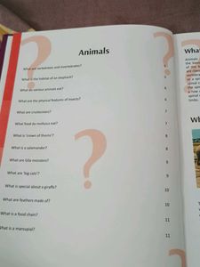 Tell Me What? Trivia Book