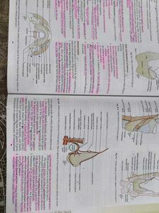 Human Anatomy Volume 3 with free workbook