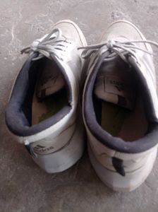 Adidas Sneakers