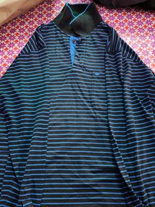 Striped Polo Shirt