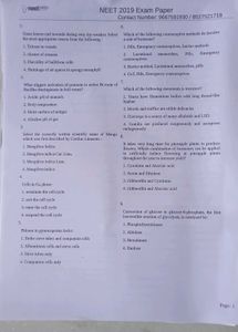 NEET pyqs 2019 to 2024