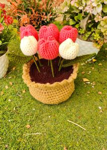 Tulip Pot