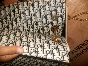 Dior Bag ( Not Orginal)
