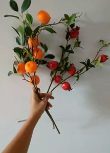 Home Centre&#39;s  Orange And Pomegranate Sticks