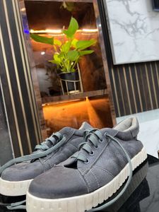 Casual Gray Shoes