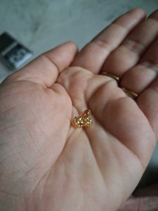 Gold Stud Earrings