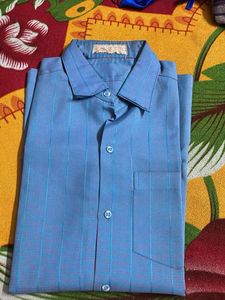 Vintage Blue Striped Shirt