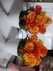 Artificial Plant Decor