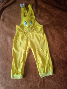 Tweety Dungri