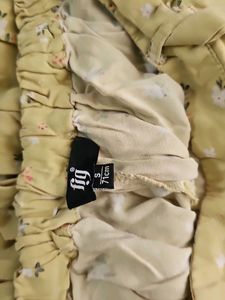 Fig Plazo Pant