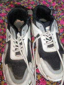 Fashion Sport Sneakers