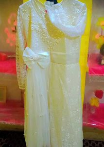 Elegant Ethnic Dress