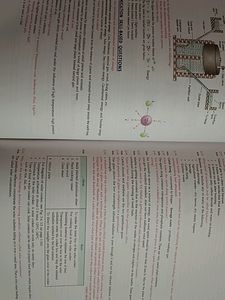 Class 10th Physics Book S.K Jain