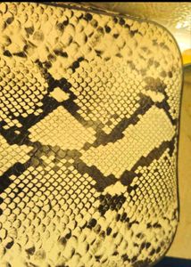 Zara Snake Print Bag