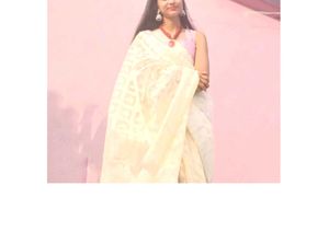 Elegant White &amp; Gold Saree