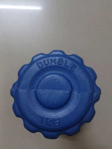 Home Workout Dumbless 2 Dumbbles