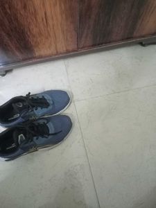 Stylish Blue Memory Foam Shoes