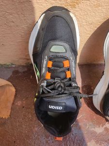 Asian Running Shoes