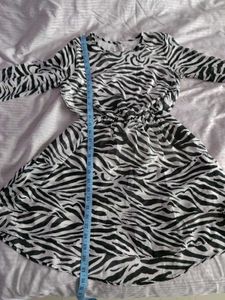 Zebra Print Dress