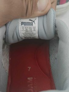 Sport Shoes
