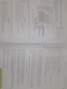 Information Technology Code 402 Class 10 Cbse