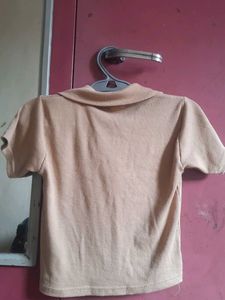 Beige Polo Style Crop Top