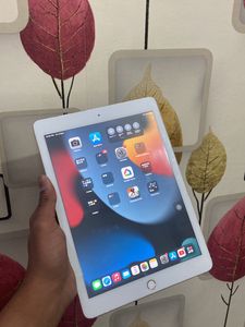 iPad 5th Generation Wi-Fi Only 32 Gb