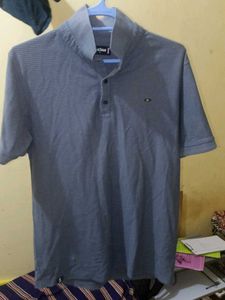 Striped Men's T-Shirt