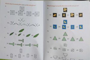 Young Scholars Reasoning Skills