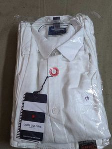 Cool Colors Casual Shirt