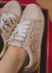 Canvas (Sneakers)