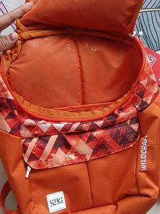 Wildcraft bagpack