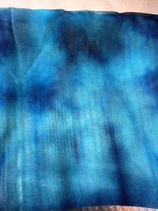 Organza Saree 🥻