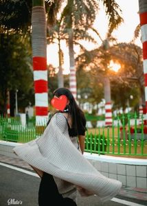 Elegant Pleated Saree