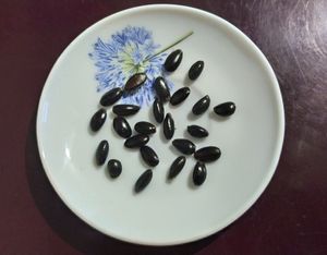 Wild Custard Apple/Athakka Seeds